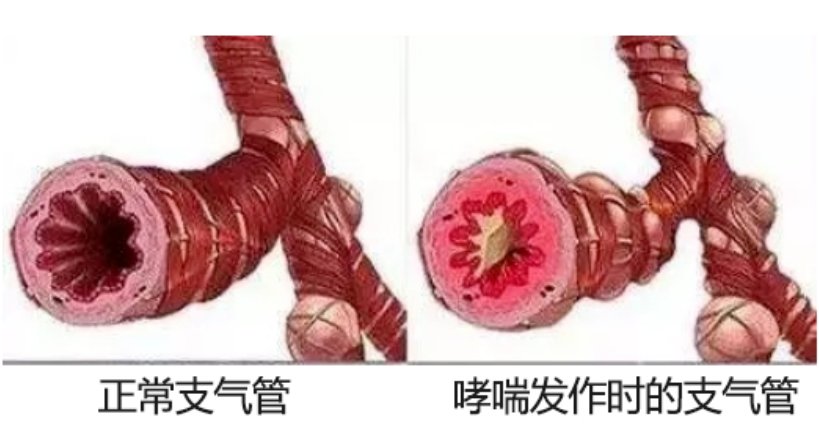 &#20061;&#28216;&#32593;&#39029;&#29256;&#45;&#20061;&#28216;&#65288;&#20013;&#22269;&#65289;