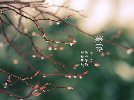 &#20061;&#28216;&#32593;&#39029;&#29256;&#45;&#20061;&#28216;&#65288;&#20013;&#22269;&#65289;