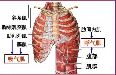 &#20061;&#28216;&#32593;&#39029;&#29256;&#45;&#20061;&#28216;&#65288;&#20013;&#22269;&#65289;
