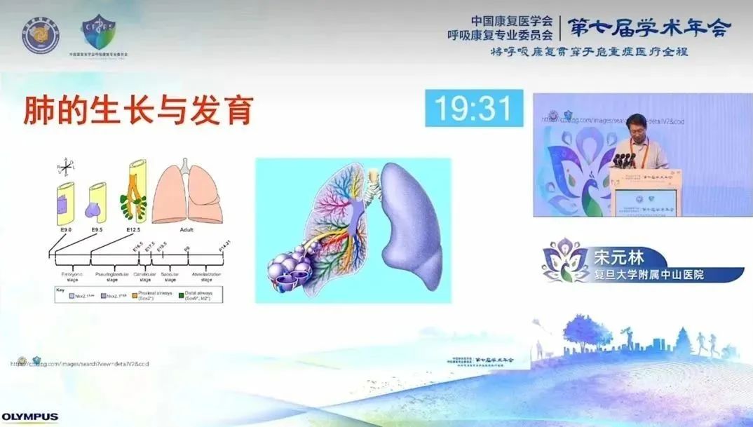 &#20061;&#28216;&#32593;&#39029;&#29256;&#45;&#20061;&#28216;&#65288;&#20013;&#22269;&#65289;