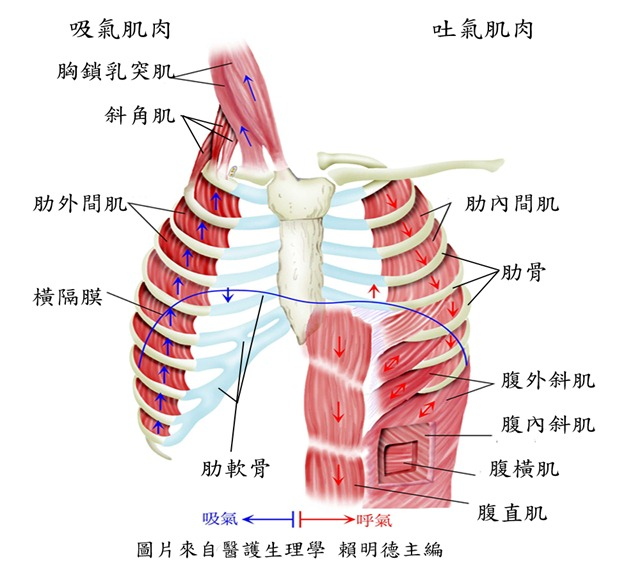 &#20061;&#28216;&#32593;&#39029;&#29256;&#45;&#20061;&#28216;&#65288;&#20013;&#22269;&#65289;