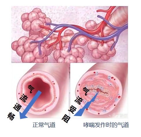 &#20061;&#28216;&#32593;&#39029;&#29256;&#45;&#20061;&#28216;&#65288;&#20013;&#22269;&#65289;